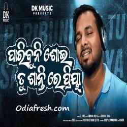 Paribuni Soi Tu Shanti Re Priya